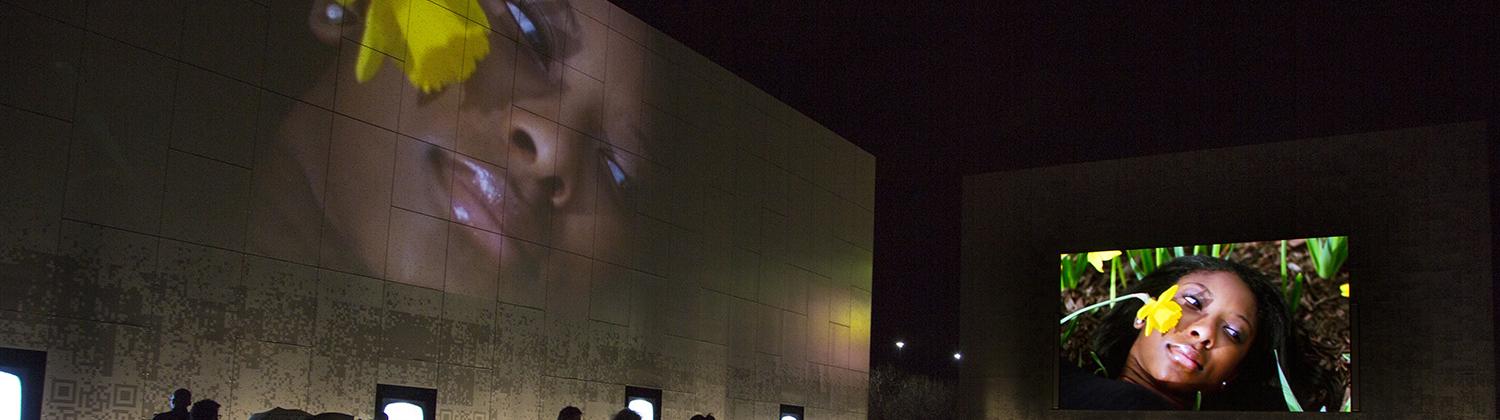 Katina Bitsicas Installation